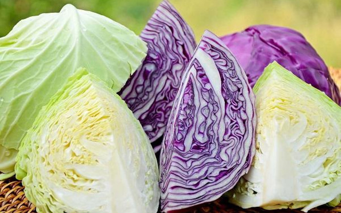 Lợi ích bất ngờ từ rau bắp cải không phải ai cũng biết Ảnh 2
