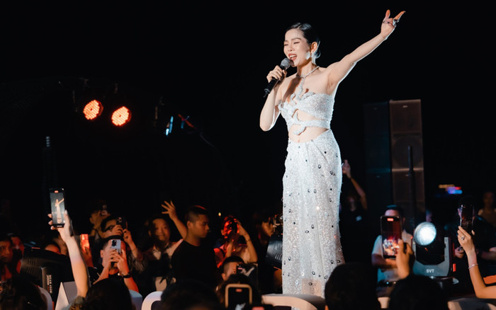 Lệ Quyên tiếp tục remix hit cũ trong sự nghiệp đem đi hát, phản ứng của khán giả có mặt ra sao? Ảnh 2