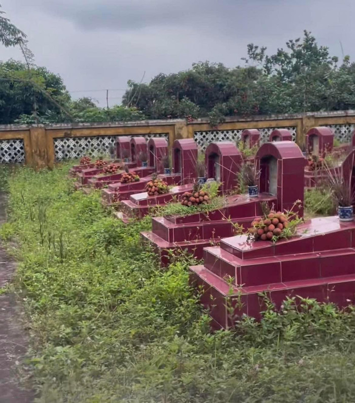 Từng chùm vải được đặt ngay ngắn trên các mộ phần