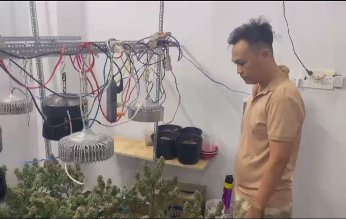 Đối tượng Trần Đức Anh Năng và 30 cây cần sa (Ảnh: Công an Nhân dân) 