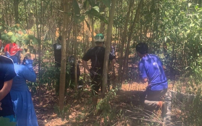 Ra thăm vườn, người dân phát hiện cảnh tượng kinh hãi ở vườn keo lá tràm Ảnh 2