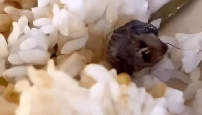 Đầu chuột được tìm thấy trong suất ăn khiến dư luận nổ ra cuộc tranh cãi dữ dội