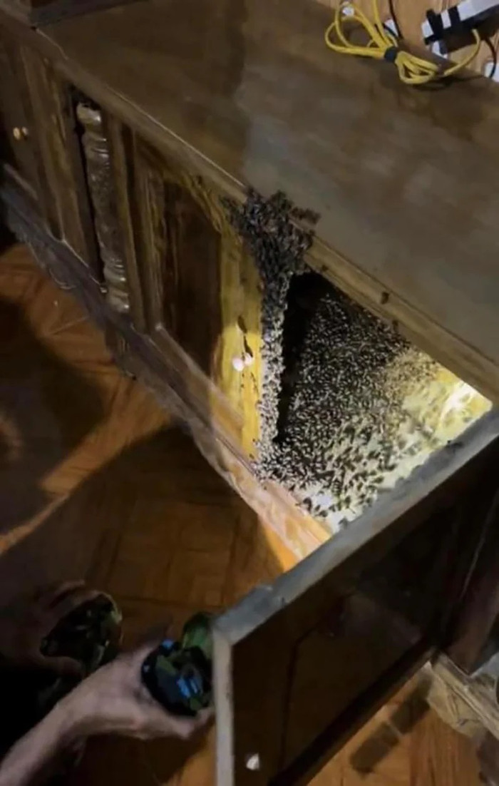 Đàn ong chi chít khiến ai mới nhìn cũng nổi da gà