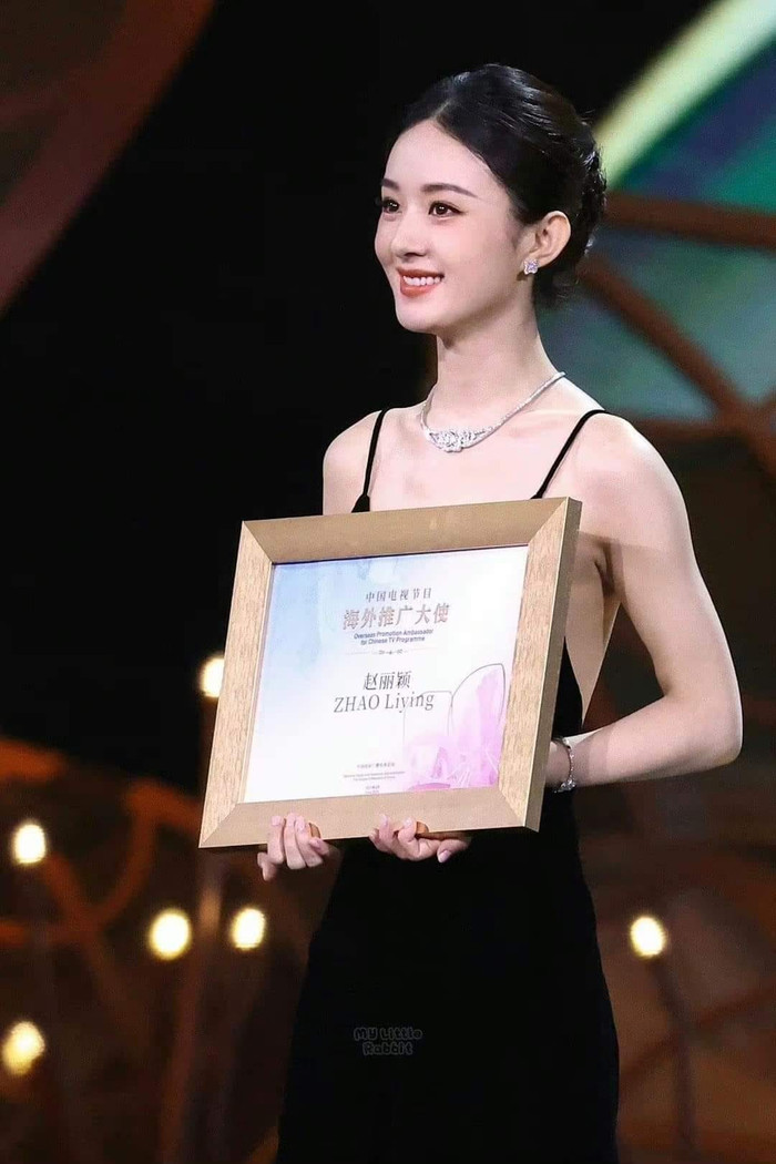 Triệu Lệ Dĩnh vinh dự được chọn làm Đại sứ quảng bá phim Trung Quốc tại quốc tế, bên cạnh Lôi Giai Âm.