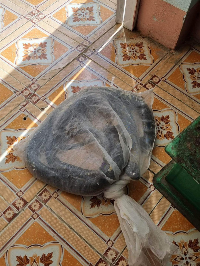 Tang vật thu giữ được. (Ảnh: CAHG).