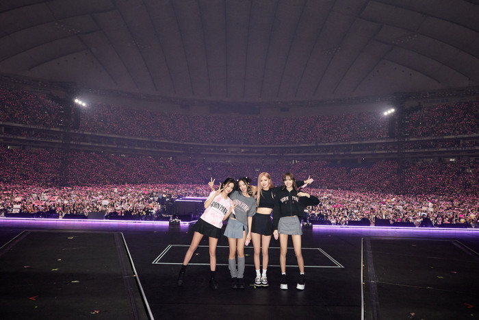 Trước đó Blackpink từng tổ chức 'Born Pink' ở nhiều quốc gia khác nhau