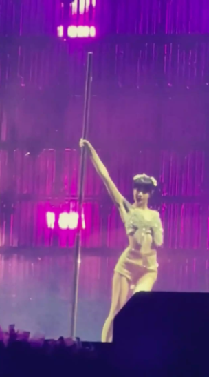 Lisa sẽ không được múa cột khi biểu diễn tại Việt Nam? Ảnh 3