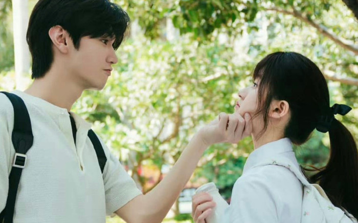 Được khán giả 'quay xe' khen ngợi nhưng Vụng Trộm Không Thể Giấu của Triệu Lộ Tư vẫn mắc sai lầm Ảnh 2