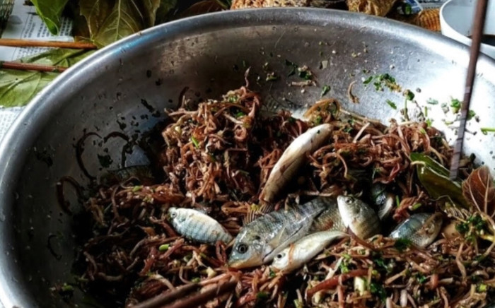 Món 'cá nhảy' kinh dị nhưng lại là đặc sản: Thưởng thức khi cá sống nhảy tanh tách trong rau mùi! Ảnh 2