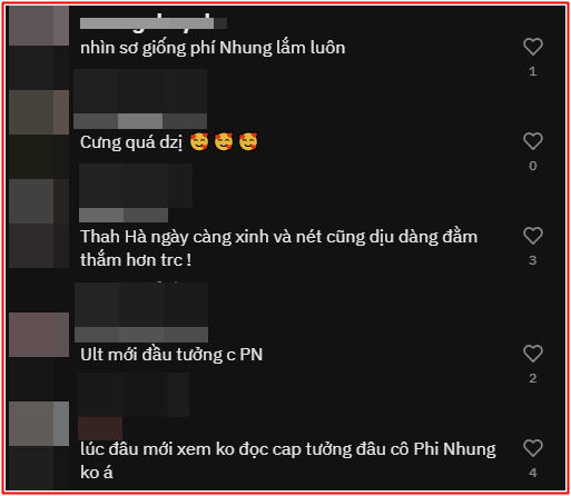 Nữ ca sĩ có gương mặt giống hệt Phi Nhung khiến dân mạng xôn xao Ảnh 3