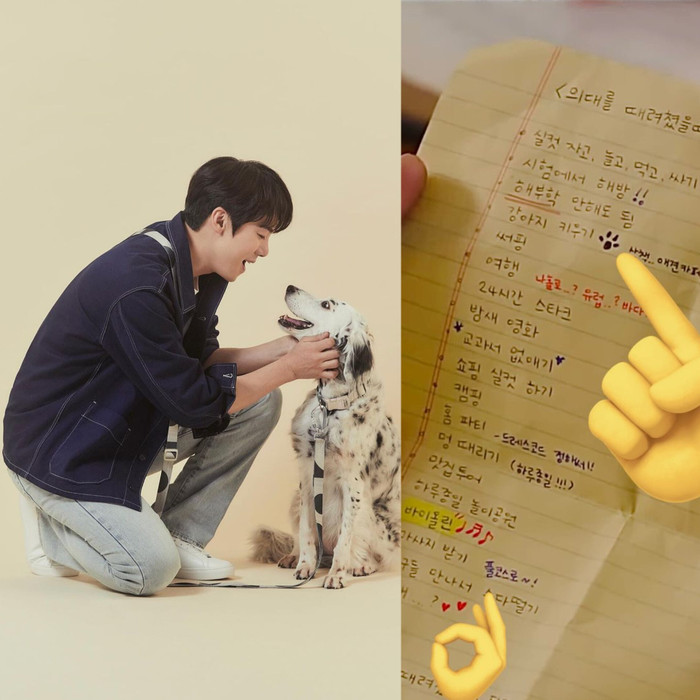  Người Thầy Y Đức 3 có khách mời mới, là 'tiểu tam' chia rẽ tình cảm của Ahn Hyo Seop và Lee Sung Kyung? Ảnh 2