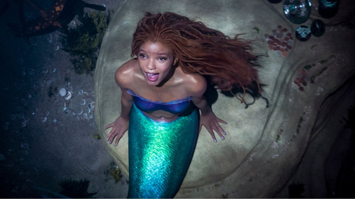  Một nam thần đình đám Hollywood công khai tình cảm với Halle Bailey sau khi xem Nàng Tiên Cá live-action Ảnh 2