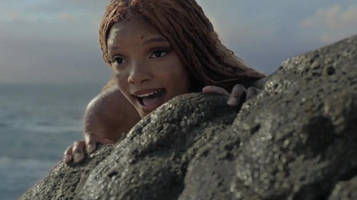  Một nam thần đình đám Hollywood công khai tình cảm với Halle Bailey sau khi xem Nàng Tiên Cá live-action Ảnh 4