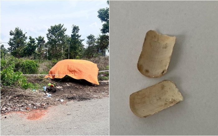 Vụ phát hiện tay chân ở Bình Dương: Không loại trừ trường hợp nạn nhân là người nước ngoài Ảnh 2