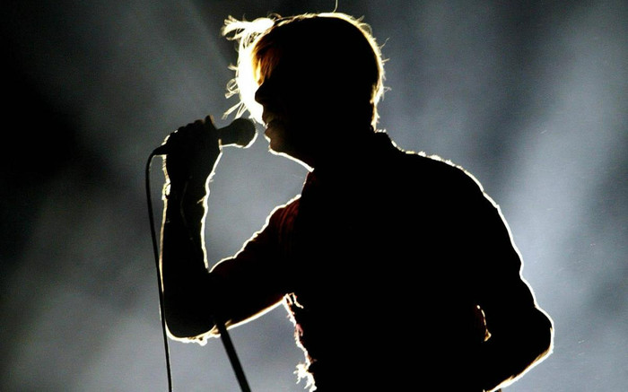 Xôn xao một nam ca sĩ nổi tiếng bị bắt khẩn cấp vì lừa đảo hàng chục tỷ đồng Ảnh 2