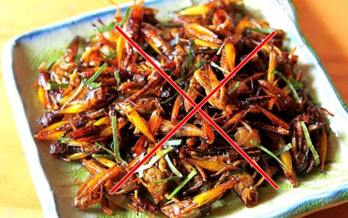 Sau khi ăn món ăn được ví như đặc sản, người đàn ông nhập viện cấp cứu khẩn Ảnh 2