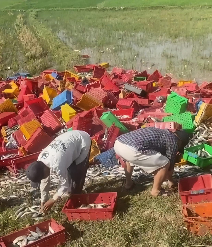 Phát hiện vụ việc, người dân Quảng Trị đã chung tay giúp đỡ tài xế. Ảnh: Quảng Trị 24h