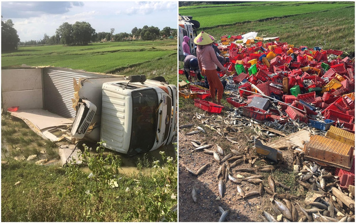 Xe tải chở 5 tấn cá bị lật giữa ruộng, người dân Quảng Trị đội nắng giúp tài xế Ảnh 2