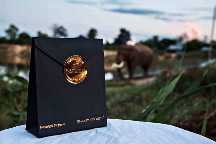 Đây cũng là một phần lý do khiến giá của loại cà phê này cao ngất. Ban đầu chỉ vài khách sạn hạng sang tại Thái Lan bày bán, hiện có thêm Cộng hòa Maldives và tiểu vương quốc Abu Dhabi. Giá mỗi tách cà phê Ngà đen lên tới 50 USD (khoảng hơn một triệu đồng).