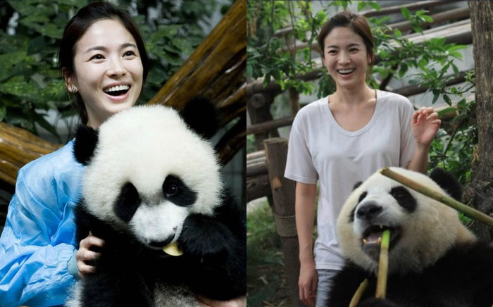 Cảnh Song Hye Kyo chăm sóc gấu trúc hot trở lại, mặt mộc mỹ nhân gây sốc Ảnh 2