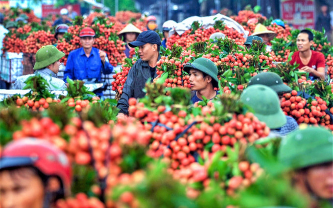 Nhờ loại trái cây đặc sản, một địa phương thu về 6.800 tỷ đồng chỉ trong 2 tháng Ảnh 2