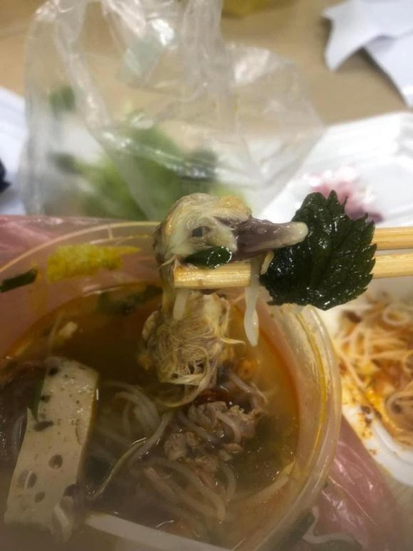 Đặt bún riêu về ăn, cô gái tá hoả khi phát hiện 1 con vịt con còn nguyên lông trong tô bún của mình