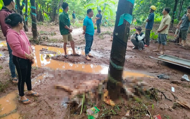 Qua cầu lúc nước lũ dâng cao, người đàn ông trả giá bằng cả tính mạng Ảnh 2