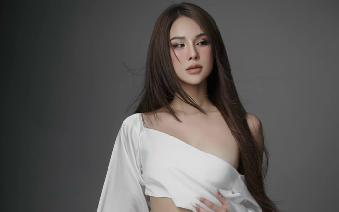 Diệp Lâm Anh phải hủy show vì lùm xùm ly hôn Ảnh 2