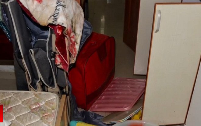 Nhà trọ bốc mùi cứ ngỡ nấm mốc, 2 tháng sau cô gái phát hoảng trước sự thật Ảnh 2