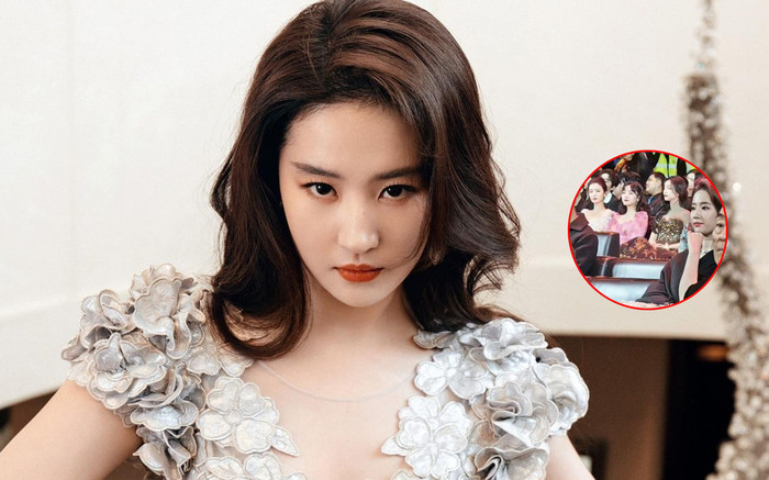Đẳng cấp như Lưu Diệc Phi, 'chặt đẹp' tình mới Dương Dương khi chung khung hình Ảnh 2