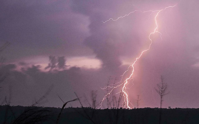 Trèo lên cây keo chặt cành lúc trời đổ mưa, 2 chị em không may bị sét giáng trúng người Ảnh 2