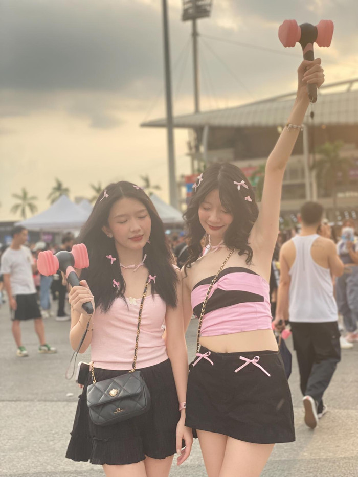  Dân tình 'hốt hoảng' khi thấy chàng trai đu concert BlackPink ... trên cây Ảnh 1