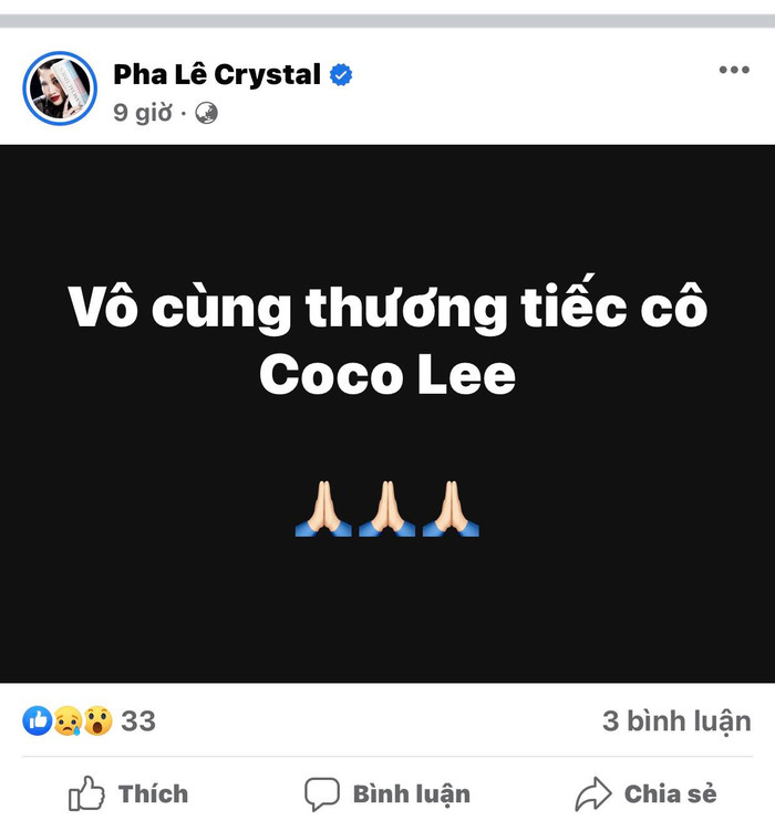Nghệ sĩ Việt thương tiếc, nói lời tiễn biệt trước sự ra đi của Coco Lee Ảnh 4
