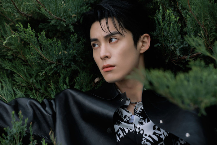  Vương Hạc Đệ tiết lộ lý do gia nhập showbiz, thái độ của fan gây chú ý Ảnh 1