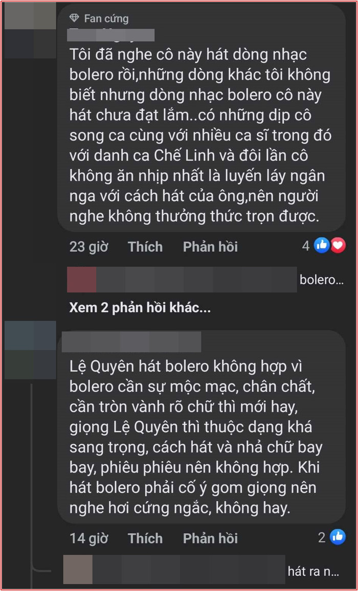 Dân mạng tranh cãi Lệ Quyên hát Bolero 'không hợp, cứng nhắc' Ảnh 3