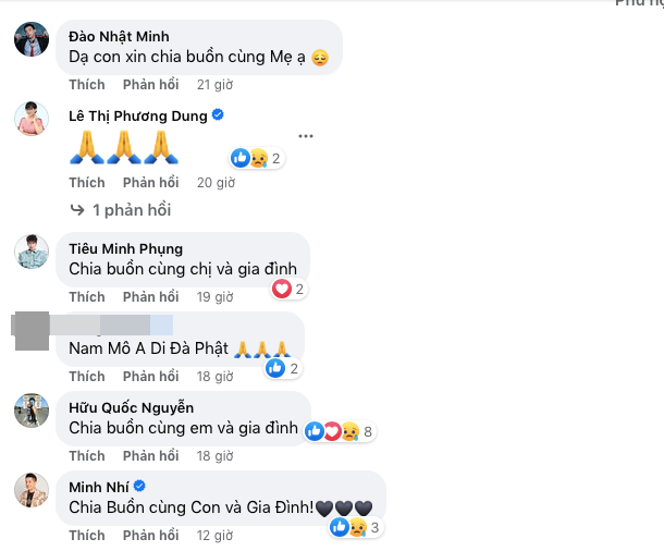  Bình Tinh thông báo tin tang sự, nhiều nghệ sĩ Việt gửi lời chia buồn Ảnh 2