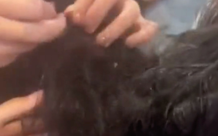 'Kiếp nạn' của cô gái gội đầu dưỡng sinh: Bị rối tóc đến mức phải đến salon cắt Ảnh 2