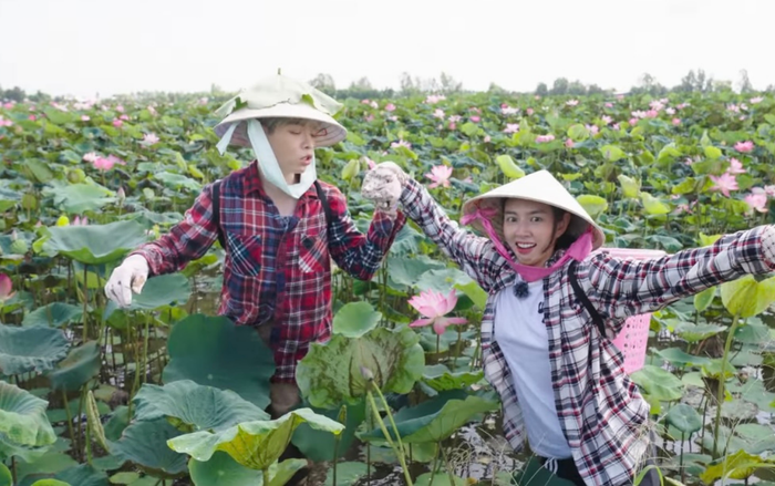 Thùy Tiên, MisThy và Đức Phúc gặp vợ chồng chú Phụng để học nghề thu hoạch sen với mức lương 50.000 đồng/tiếng. 