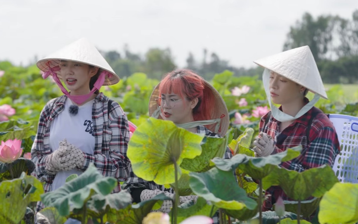 Trong khi Thùy Tiên và Đức Phúc quyết định hỗ trợ nhau, MisThy lại chọn một lối đi riêng. Nhờ quyết tâm cùng sự giúp đỡ từ chú Phụng, nàng streamer nhanh chóng thu hoạch đủ số lượng gương sen, khiến Thùy Tiên và Đức Phúc không khỏi ghen tị.