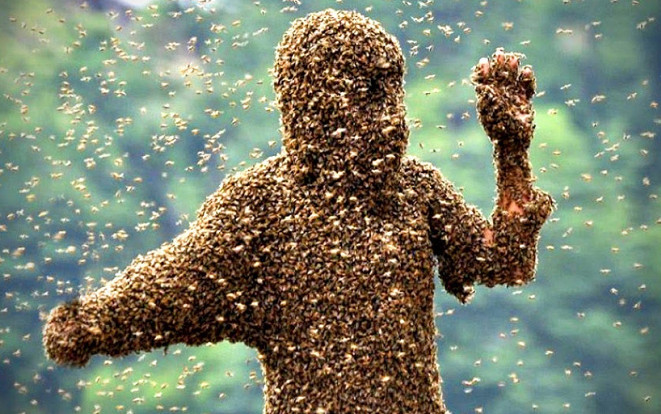 Đám tang trở nên hỗn loạn bởi chuyến ghé thăm của đàn ong mật Ảnh 2