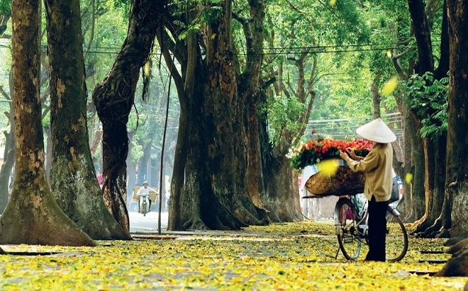 Những 'tọa độ' check-in đẹp quên lối về giữa trời Thu Hà Nội Ảnh 2