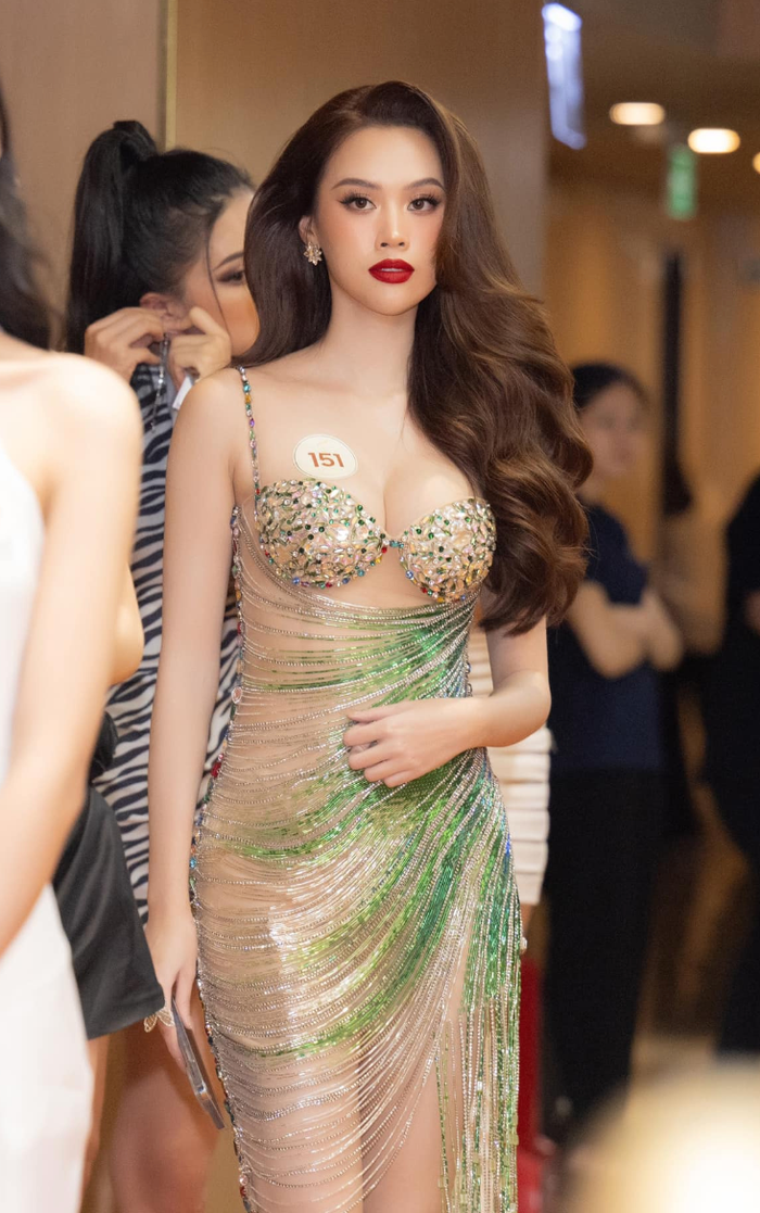 Tâm Như cao 1m75, số đo lần lượt 82-63-87 cm, 24 tuổi đến từ Thừa Thiên Huế. Cô đang theo học ngành Thiết kế đồ họa - ĐH Văn Lang.&nbsp;