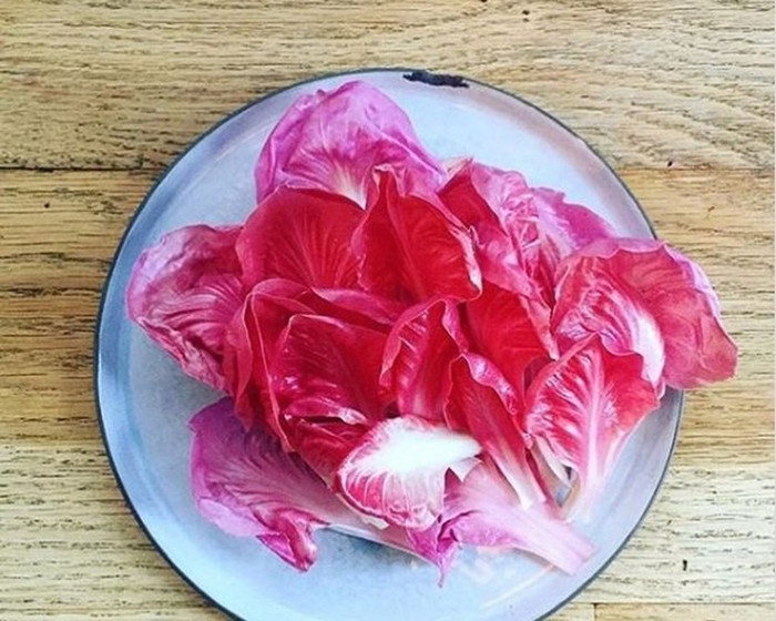 Nếu những cây rau diếp bình thường chỉ được bán với mức giá 30.000 đến 45.000 đồng/kg, thì giá của rau diếp hồng lại lên tới 500.000 đồng/kg, tức là gấp từ 10 - 15 lần so với rau diếp thơm truyền thống.