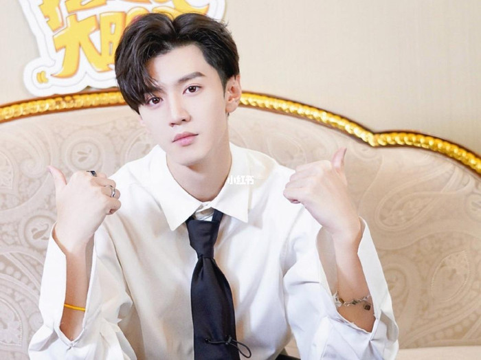 Trần Triết Viễn thừa nhận Triệu Lộ Tư là mẫu người yêu lý tưởng Ảnh 1