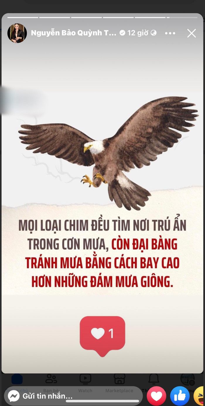 Quỳnh Thư liên tục có động thái ẩn ý giữa ồn ào bị Diệp Lâm Anh tố 'tiểu tam' Ảnh 1