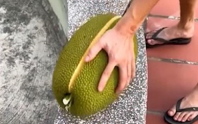 Tin lời quảng cáo mít cực ngon ngọt, thanh niên mua về rồi bổ ra và cái kết Ảnh 2