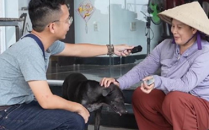 Độc lạ Bình Dương: Chú chó được tuyển làm 'nhân viên thu ngân' ở cây xăng Ảnh 2