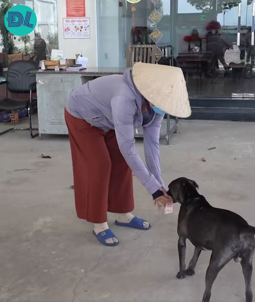 Sau khi nhận tiền từ khách hàng, Gấu ngay lập tức đưa tiền cho mẹ. Nguồn: Độc lạ Bình Dương