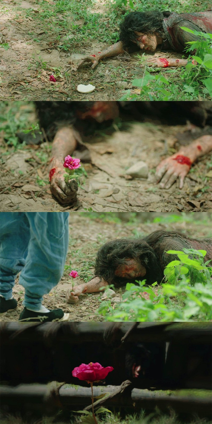 Trường Tương Tư lộ cái kết: Dương Tử không hạnh phúc, ba nam chính đều đau khổ? Ảnh 3