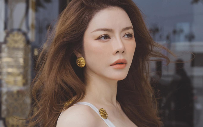 Lý Nhã Kỳ cảm thấy bất an vì bị fan cuồng canh cửa nhà riêng hàng đêm Ảnh 2